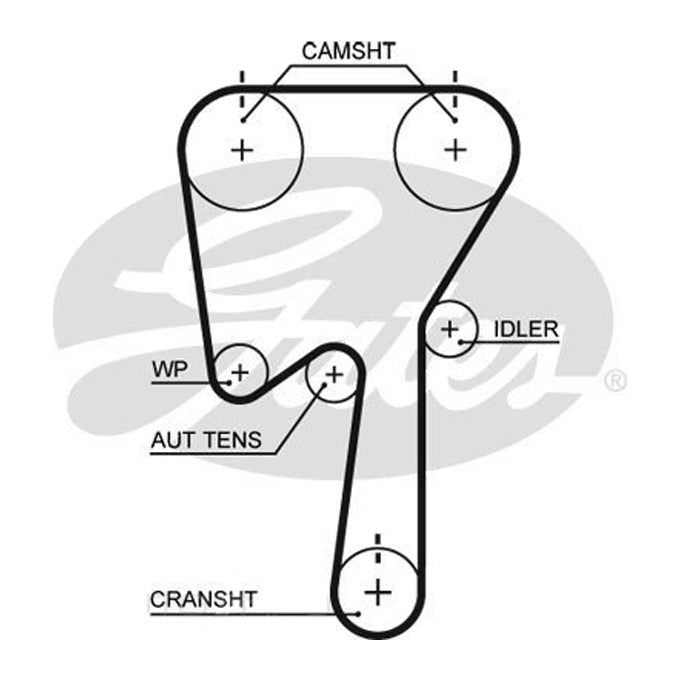 Gates Timing Belt T311
