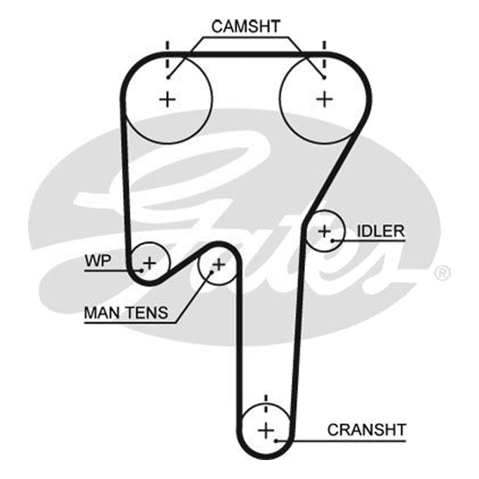 Gates Timing Belt T319