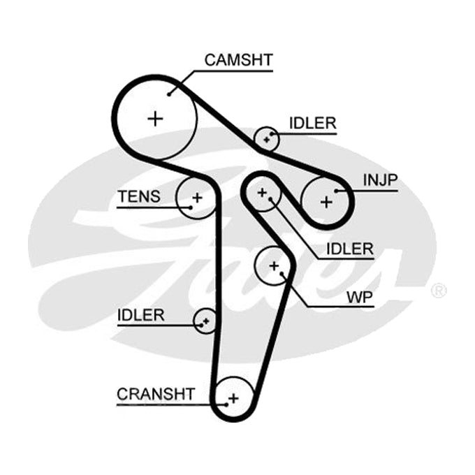 Gates Timing Belt T342