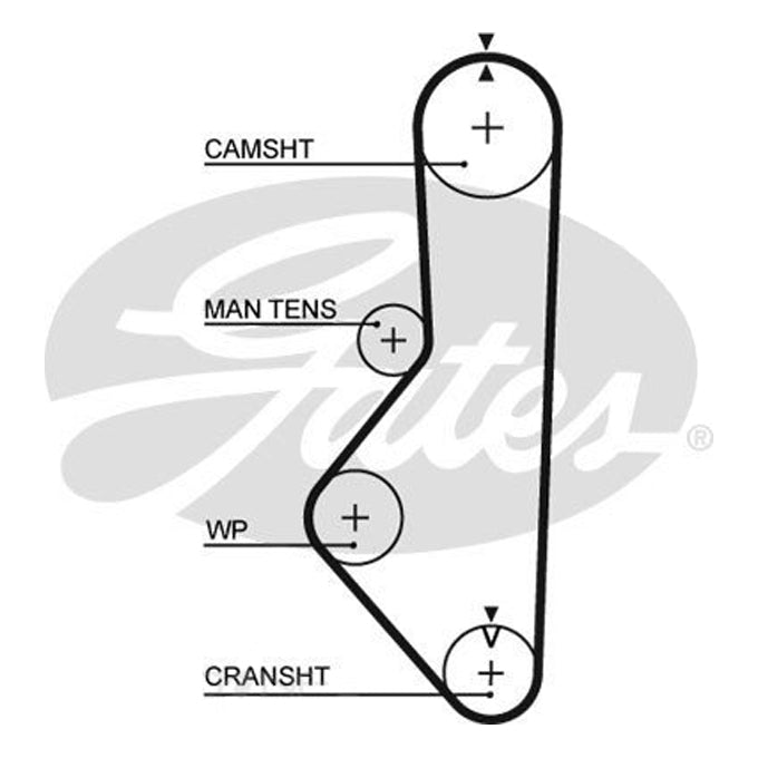 Gates Timing Belt T809