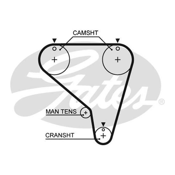 Gates Timing Belt T891