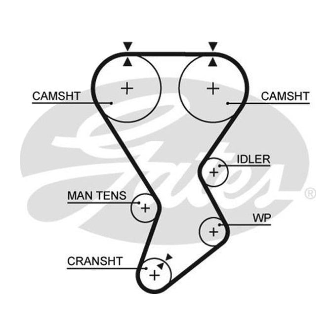 Gates Timing Belt T935
