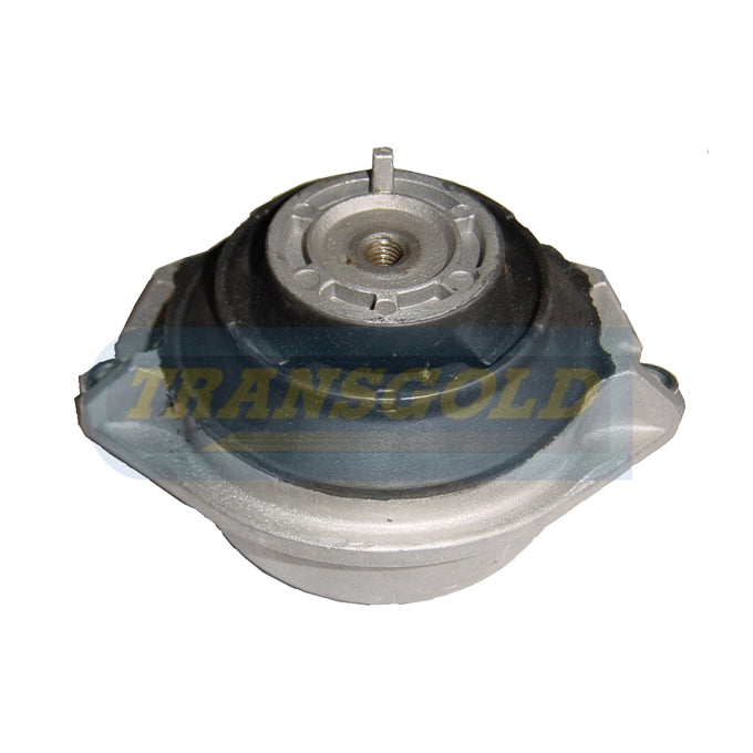 Transgold Engine Mount TEM1594