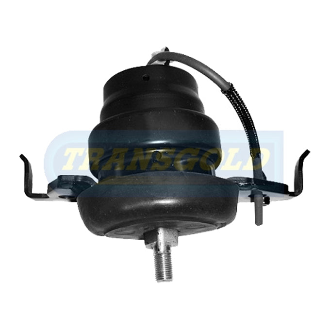 Transgold Engine Mount TEM2909