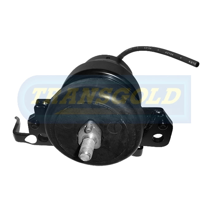 Transgold Engine Mount TEM2910