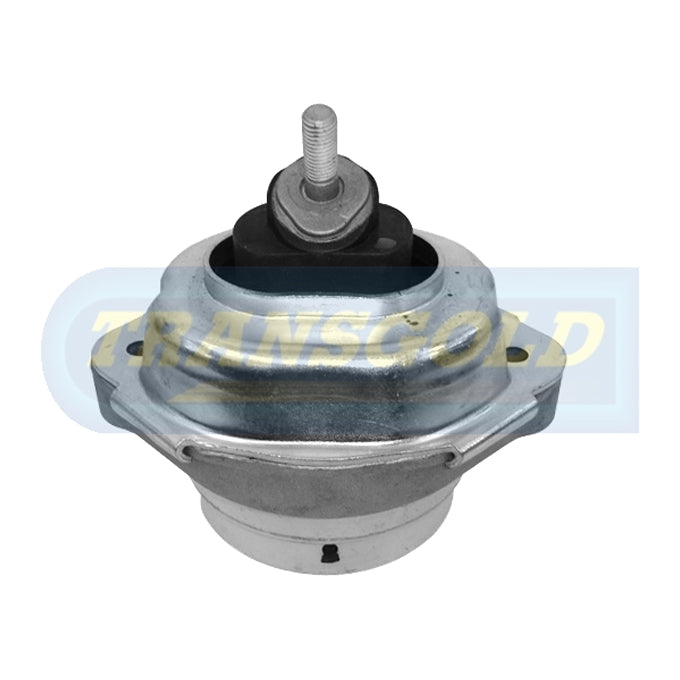 Transgold Engine Mount TEM3013