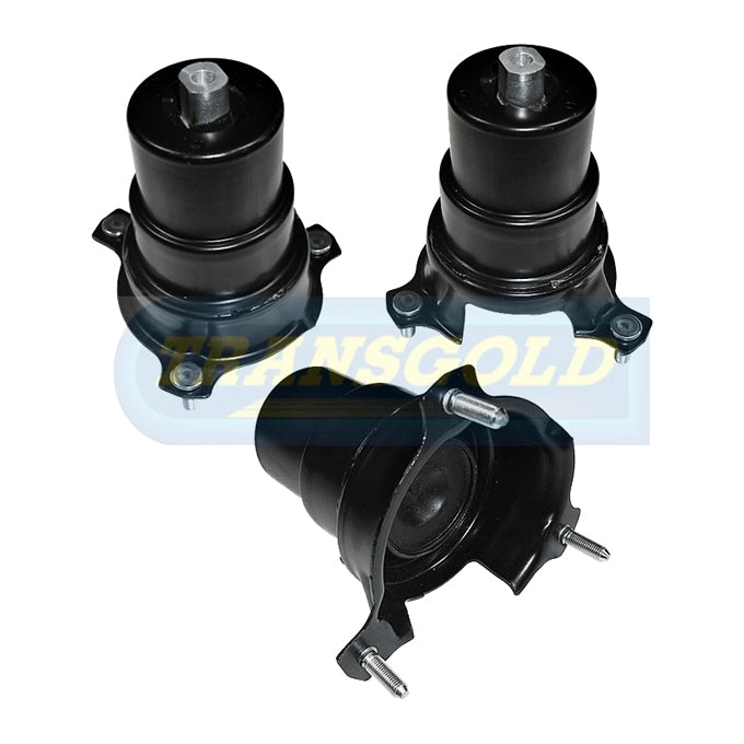Transgold Engine Mount TEM3408