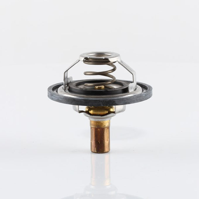 Tridon TT1309 thermostat