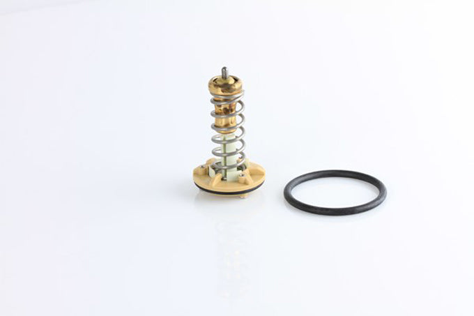 Tridon TT1689 thermostat