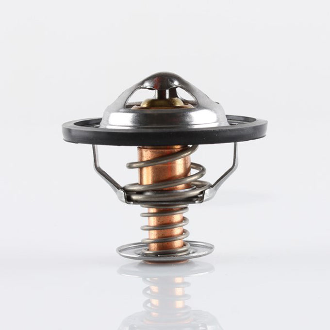 Tridon TT1728 thermostat