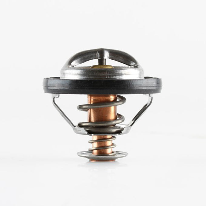 Tridon TT1731 thermostat