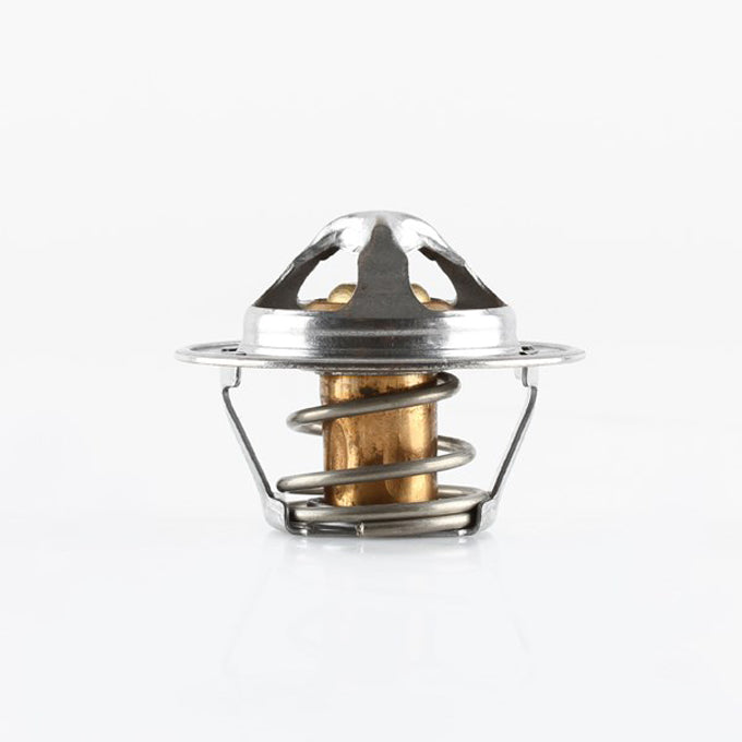 Tridon TT2002 thermostat