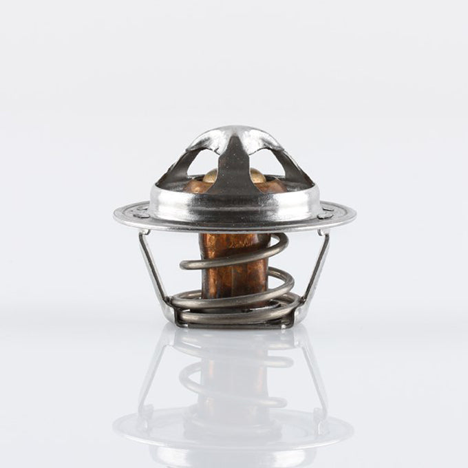 Tridon TT2004 thermostat