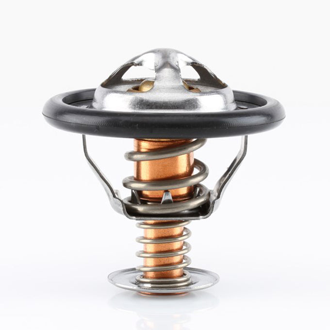 Tridon TT299 thermostat