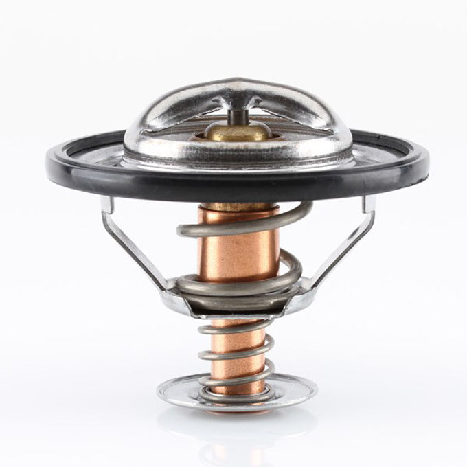 Tridon TT301 thermostat