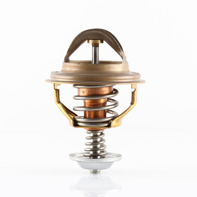 Tridon TT8085 thermostat